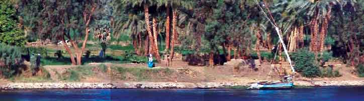 THE BANK OF THE NILE RIVER